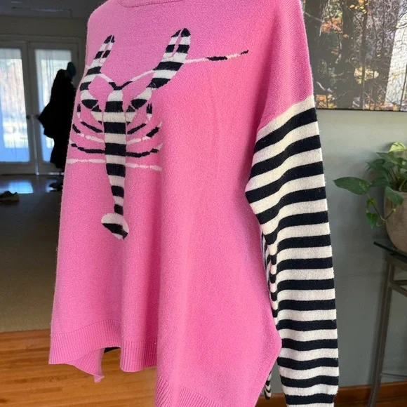 Autumn Cashmere 100% cashmere Pink Striped Lobster Sweater sz S - Picture 5 of 7
